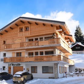 Chalet The Alpine Loft - Solo Ski Accommodation