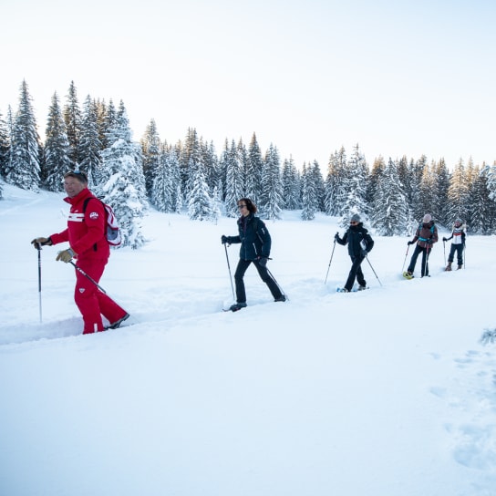 Snowshoe touring in Les Gets
