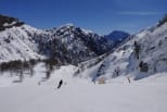 Long descent into the tree line above Malga Ciapela